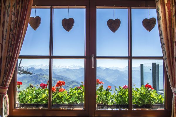 Wood Window Frame Repair